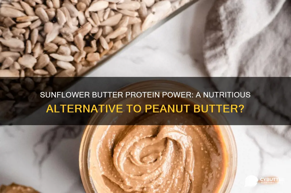 is sunflower butter a good source of protein