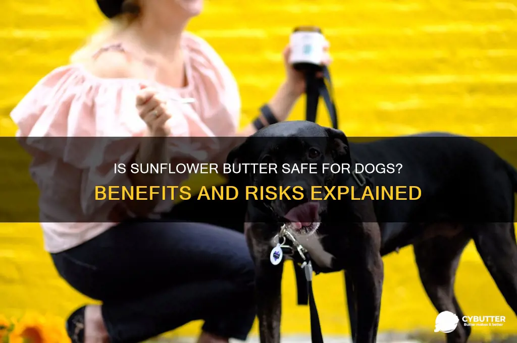 is sunflower butter good for dogs