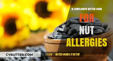 Sunflower Butter: A Safe Nut Allergy Alternative or Risky Choice?