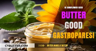 Sunflower Seed Butter: A Gastroparesis-Friendly Alternative to Nut Butters?