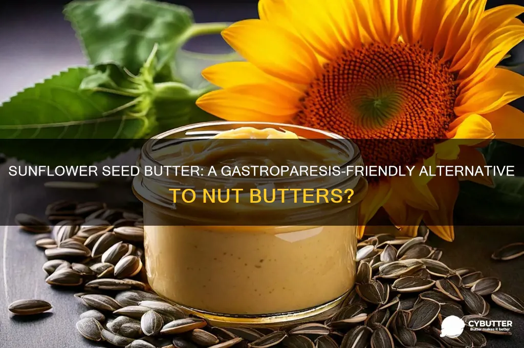 is sunflower seed butter good gastroparesis