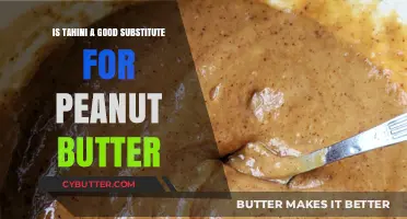 Tahini vs. Peanut Butter: A Nutty Substitute Showdown