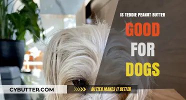 Is Teddie Peanut Butter Safe for Dogs? A Complete Guide