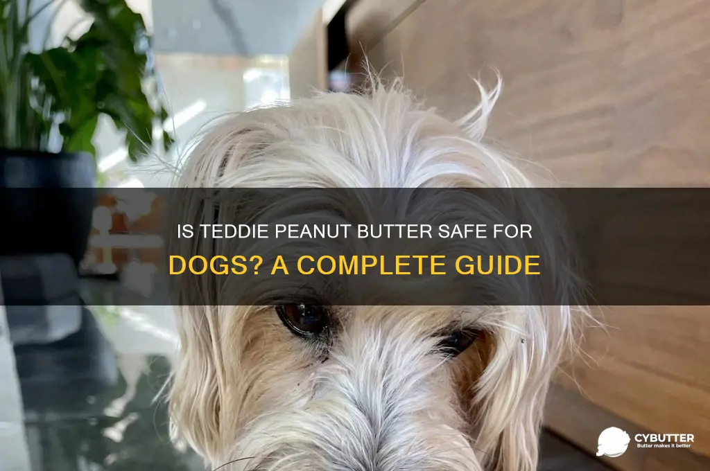 is teddie peanut butter good for dogs