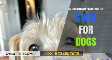 Is Texa Creamy Peanut Butter Safe for Your Dog?