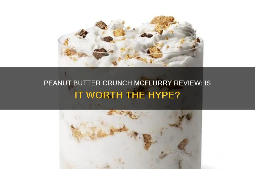 is the peanut butter crunch mcflurry good