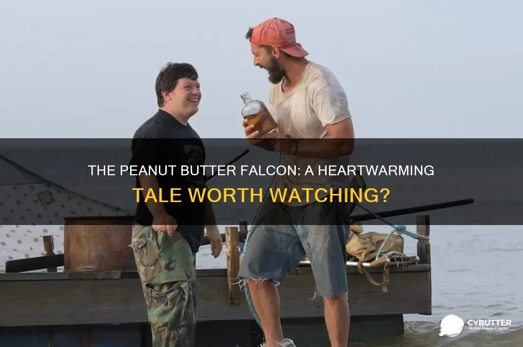 is the peanut butter falcon a good movie