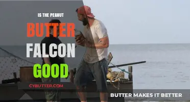 Is 'The Peanut Butter Falcon' Worth Watching? A Heartfelt Review