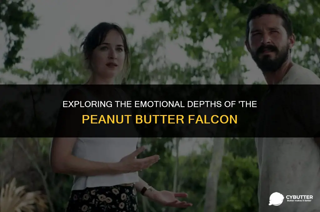 is the peanut butter falcon sad