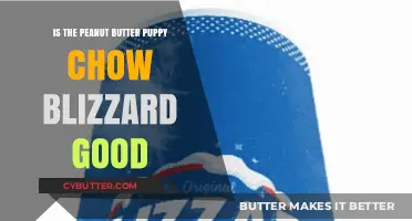 Peanut Butter Puppy Chow Blizzard Review: Is It Worth the Hype?