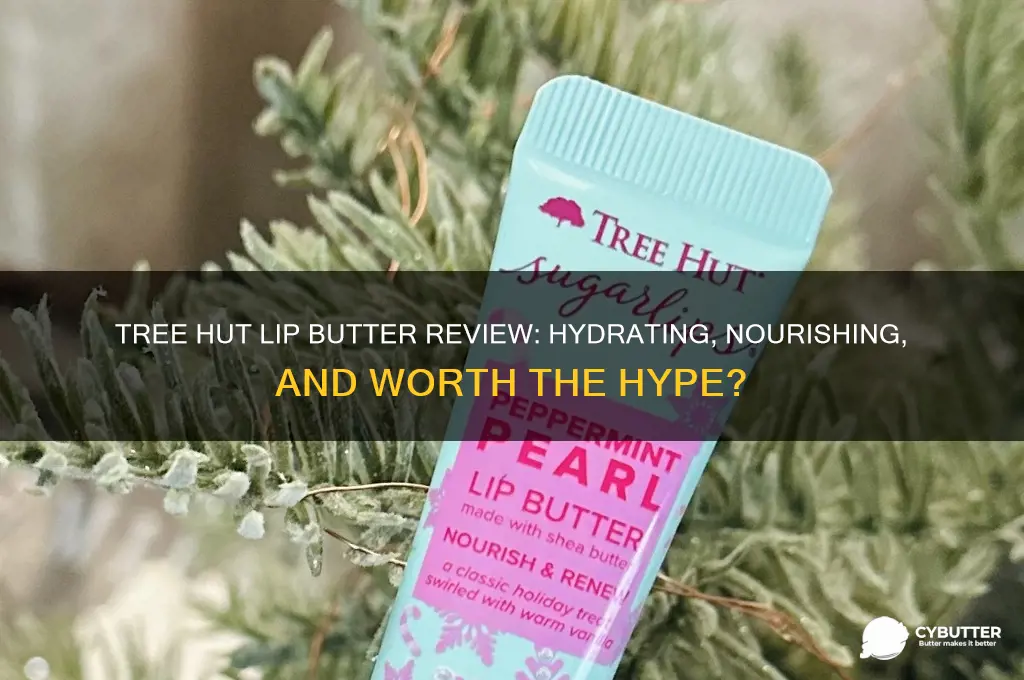 is tree hut lip butter good