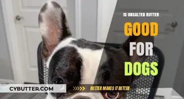 Unsalted Butter for Dogs: Safe, Healthy, or Harmful?