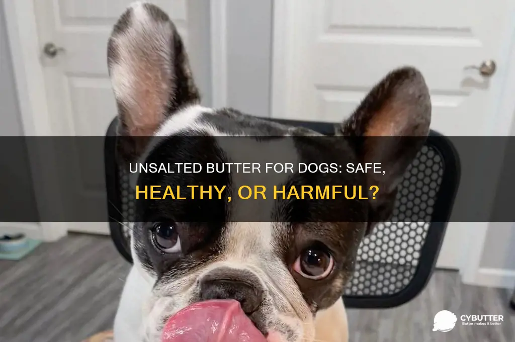 is unsalted butter good for dogs
