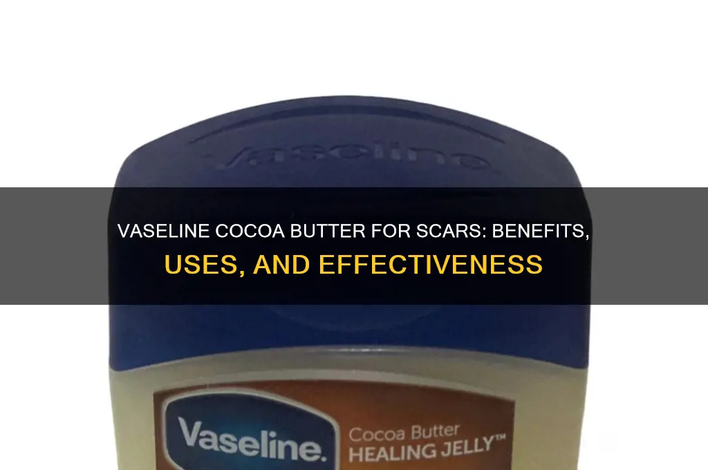 is vaseline cocoa butter good for scars