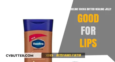 Vaseline Cocoa Butter Jelly: Effective Lip Healing Solution?