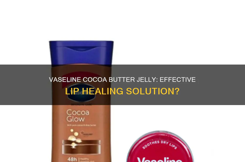 is vaseline cocoa butter healing jelly good for lips