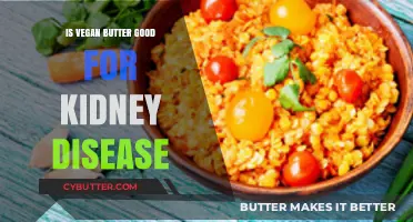 Vegan Butter and Kidney Health: Benefits, Risks, and Considerations