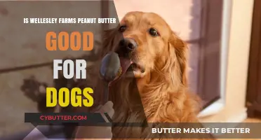 Is Wellesley Farms Peanut Butter Safe for Dogs? A Review