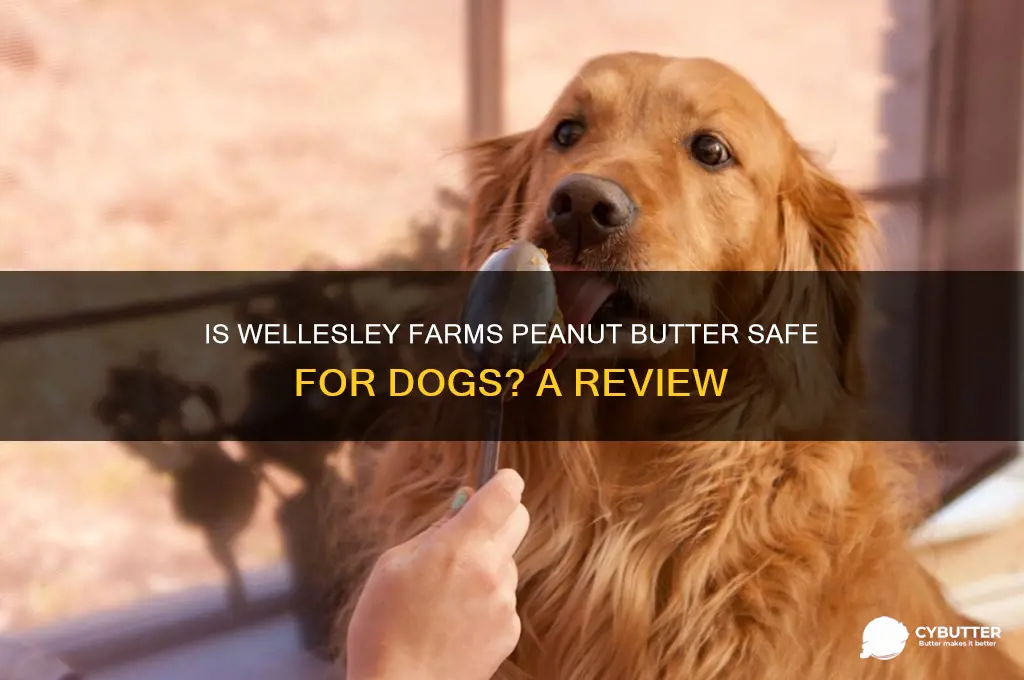 is wellesley farms peanut butter good for dogs