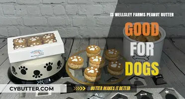 Is Wellsley Farms Peanut Butter Safe for Dogs? A Review