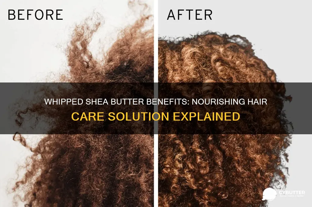 is whipped shea butter good for hair