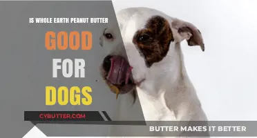 Is Whole Earth Peanut Butter Safe for Dogs? A Guide