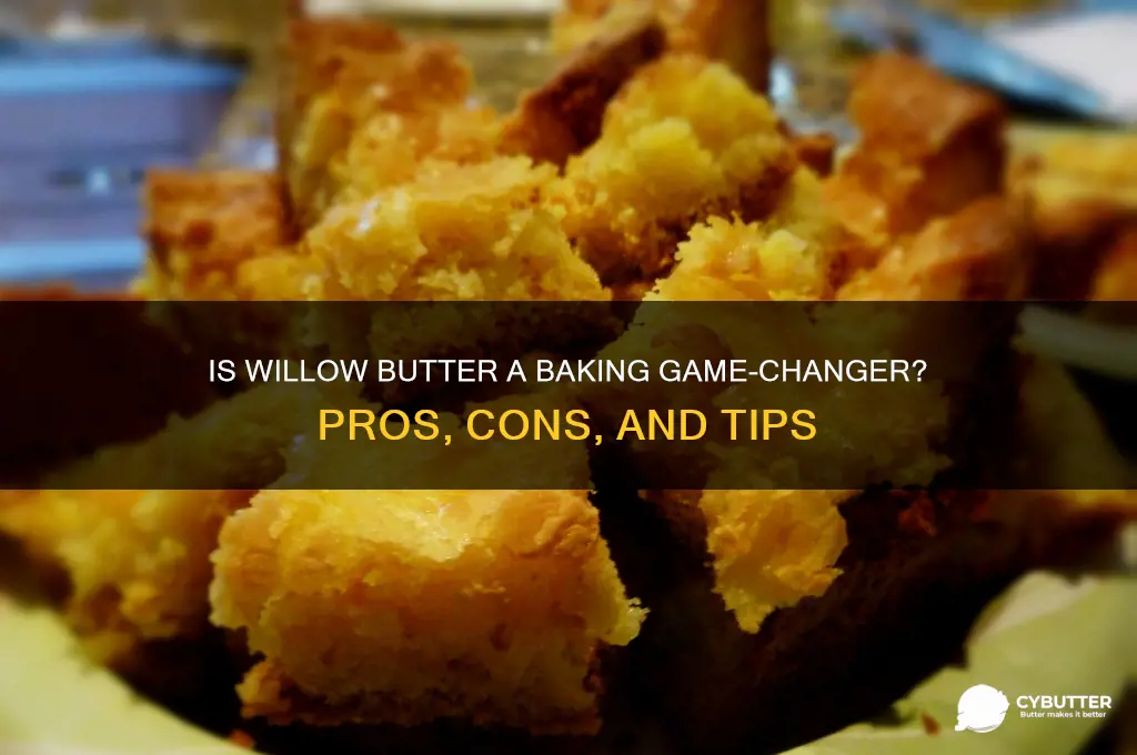 is willow butter good for baking