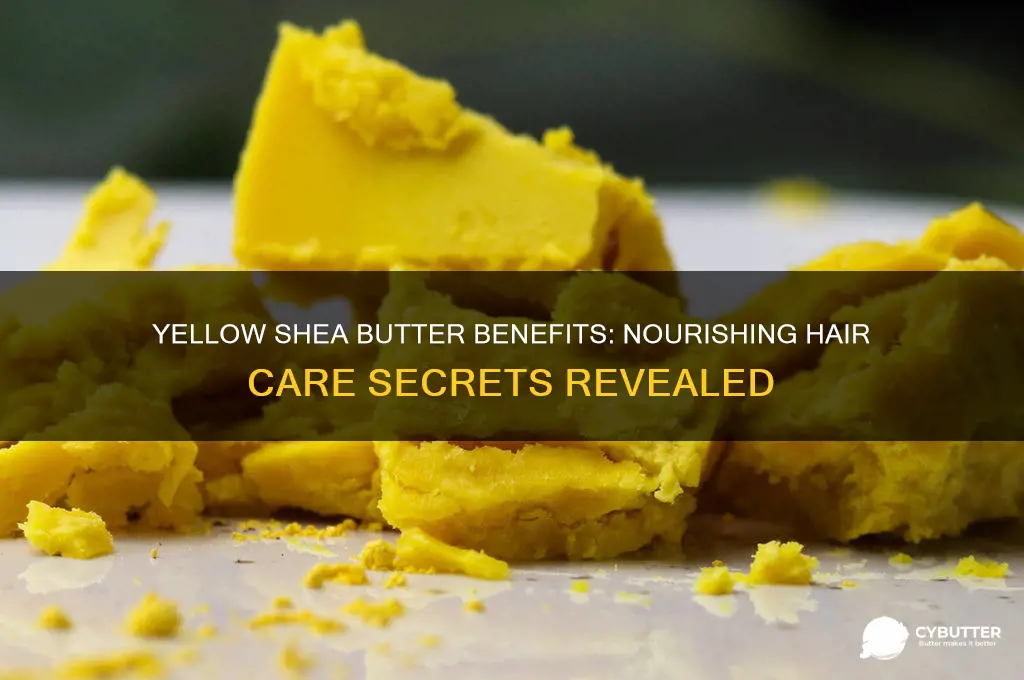 is yellow shea butter good for hair