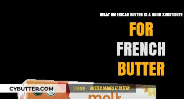 Best American Butter Alternatives to Replace French Butter in Recipes