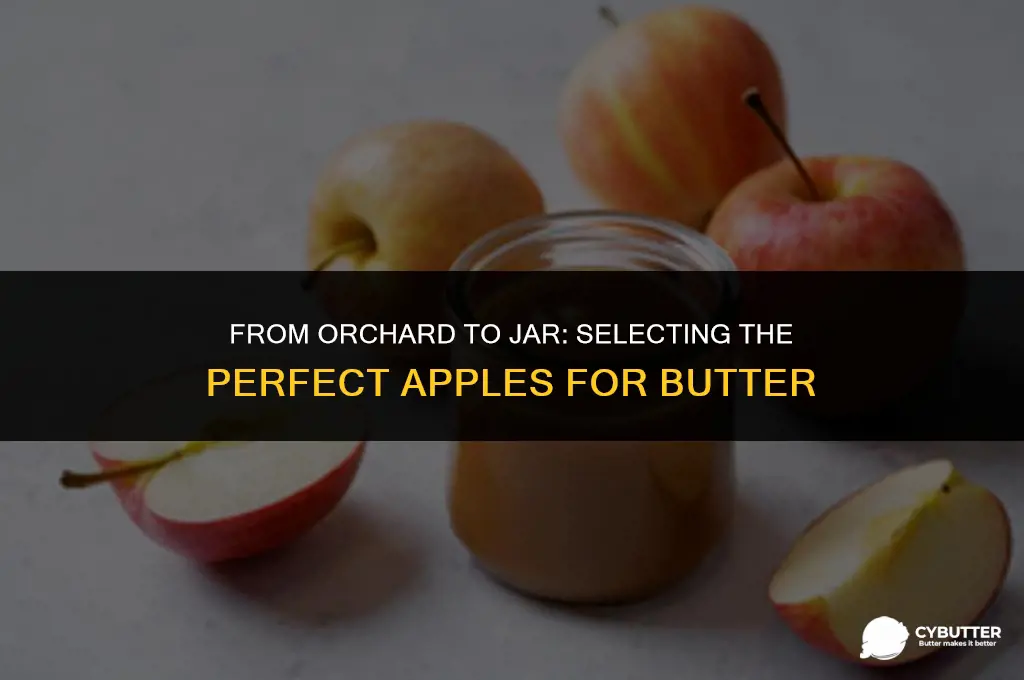 what apples are best for apple butter
