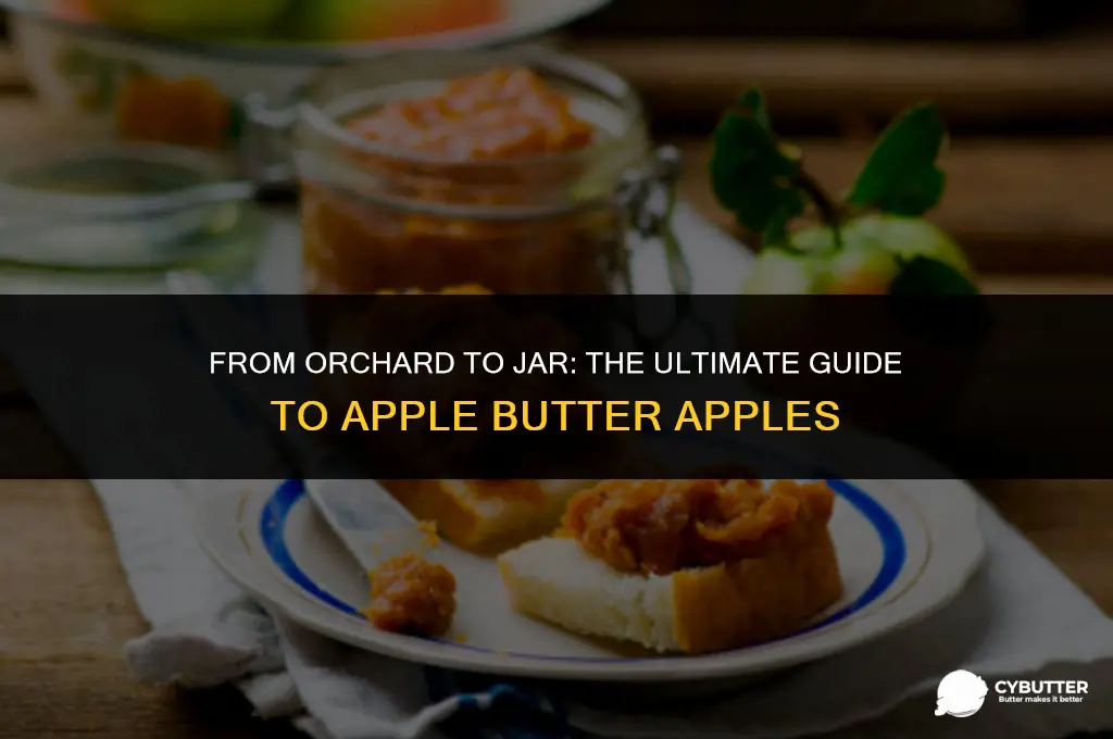 what apples make the best apple butter