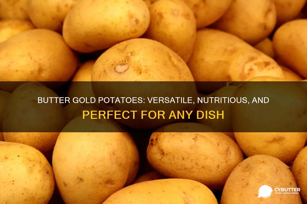what are butter gold potatoes good fkr