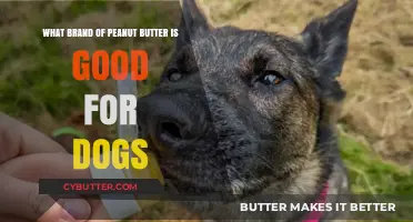 Top Dog-Friendly Peanut Butter Brands: A Nutty Guide for Pet Parents