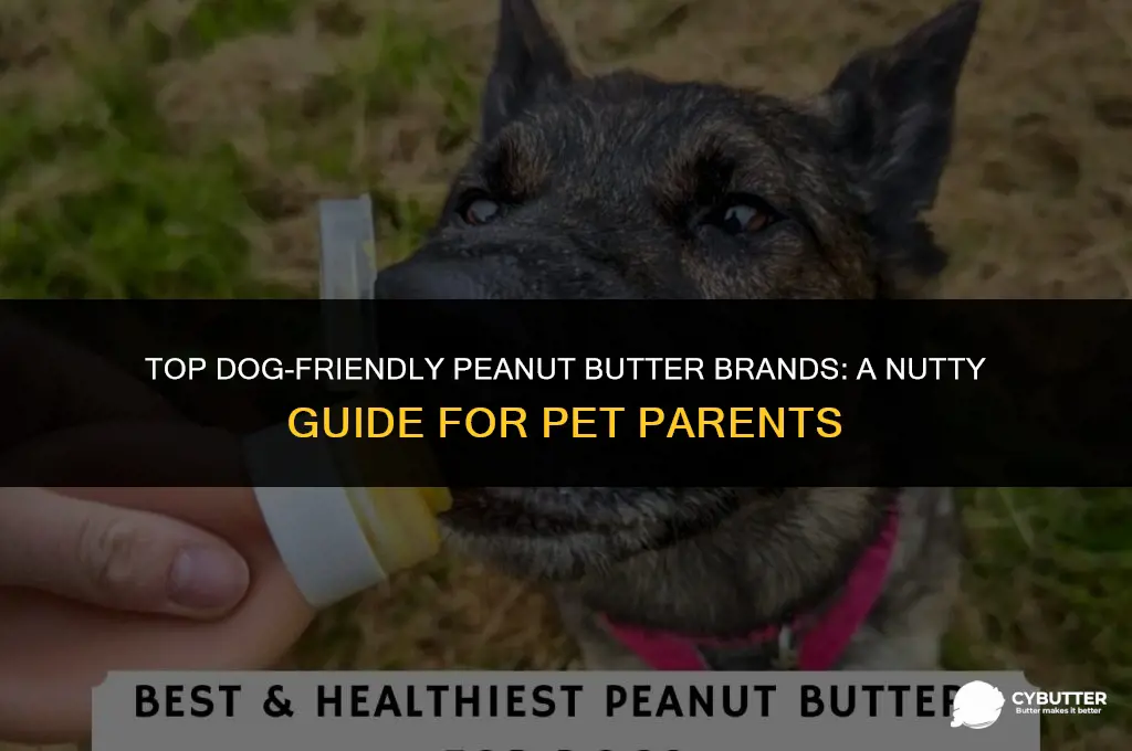 what brand of peanut butter is good for dogs