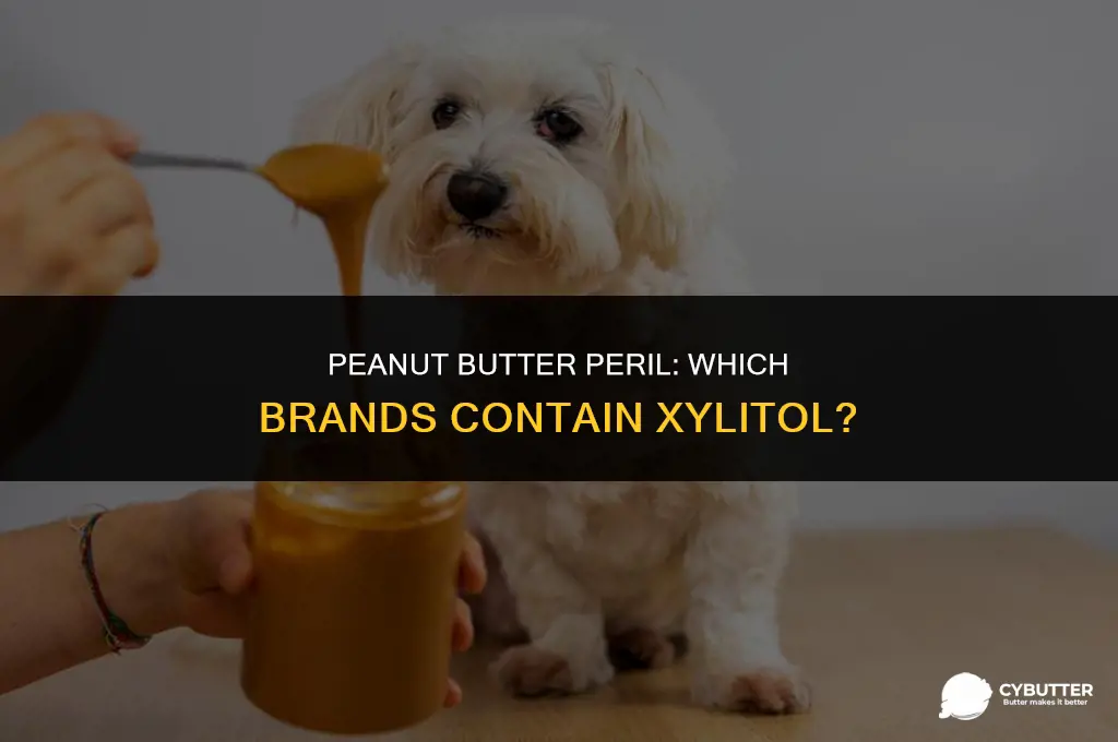 what brands of peanut butter contain xylitol