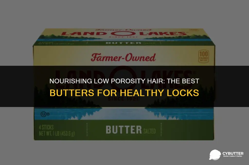 what butter is good for low porosity hair