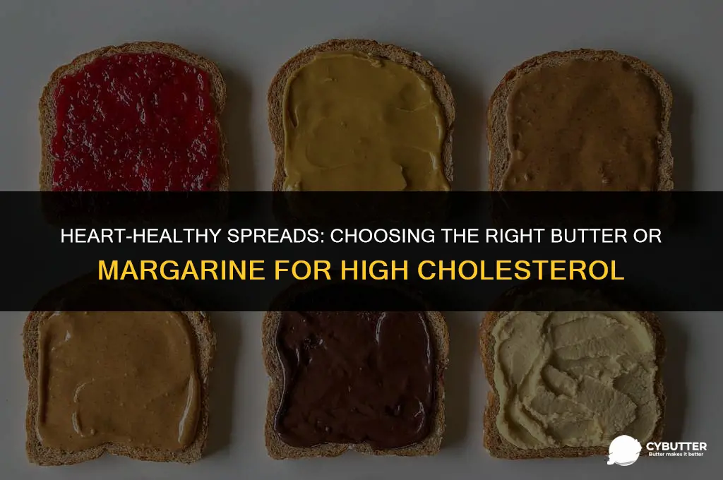 what butter or margarine is good for high cholesterol