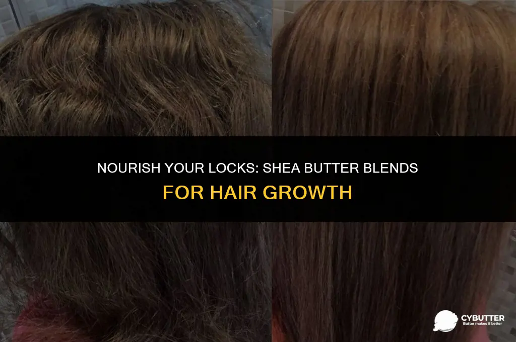 what can i mix with shea butter for hair growth