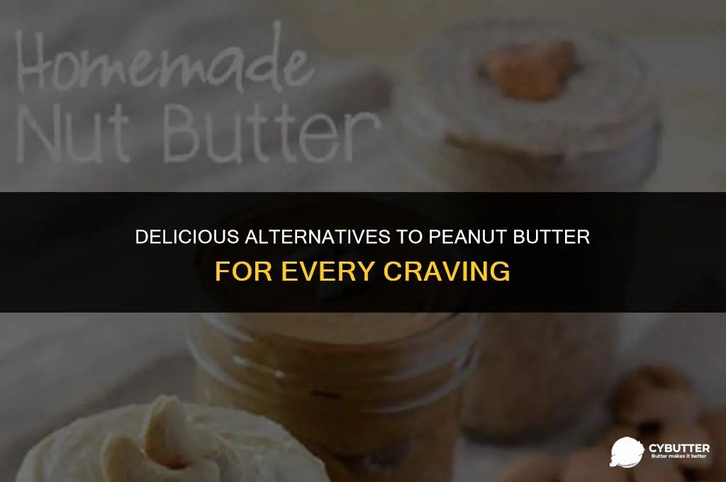 what can i use instead of peanut butter
