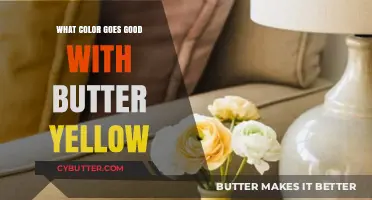 Harmonious Hues: Exploring Colors That Complement Butter Yellow