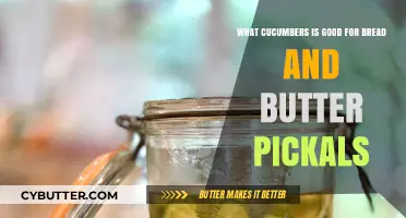 Crunchy Delights: Best Cucumbers for Bread and Butter Pickles