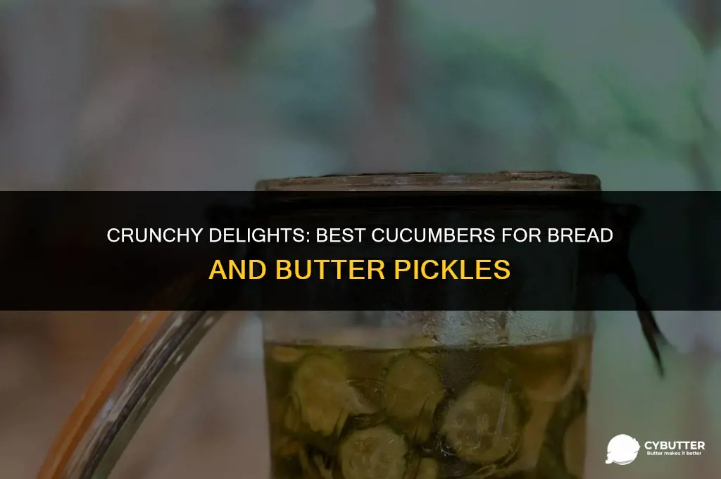 what cucumbers is good for bread and butter pickals