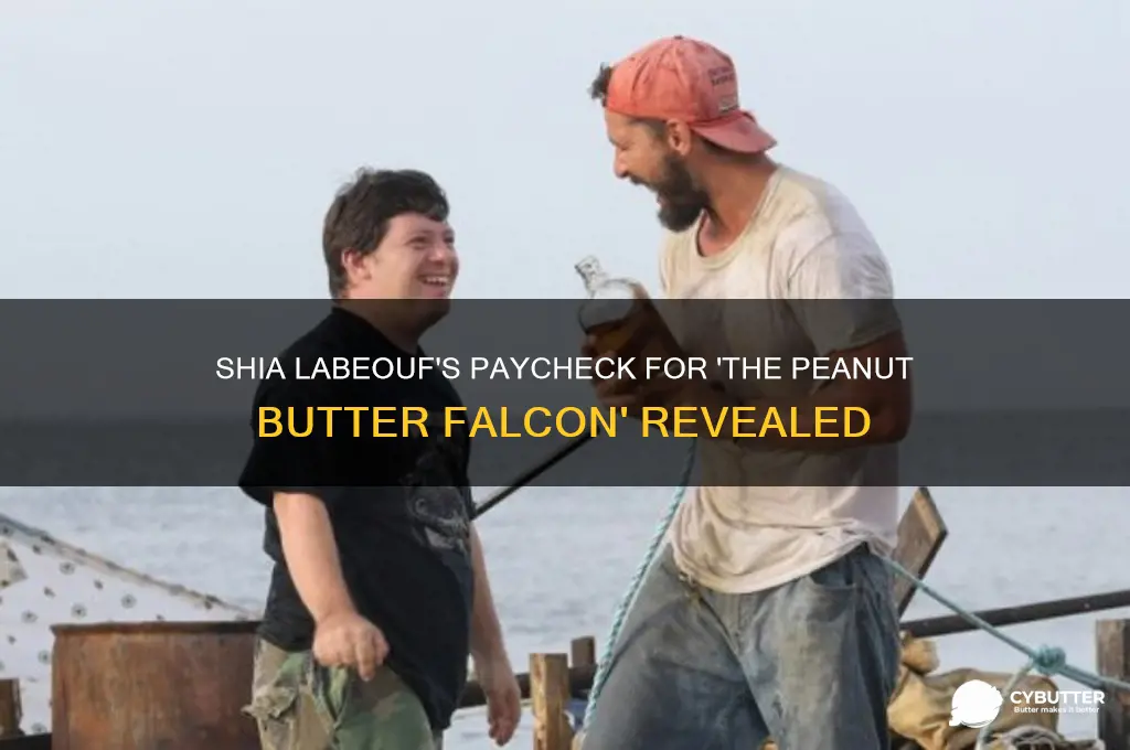 what did shia labeouf get paid for peanut butter falcon