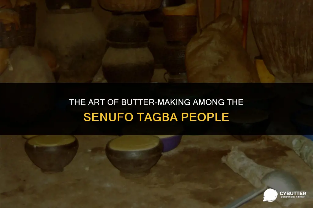 what do the senufo tagba make butter from
