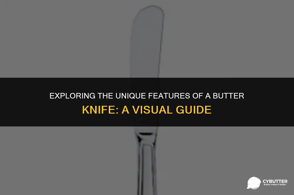 what does a butter knife look like