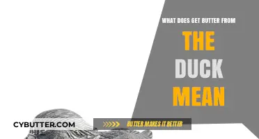Understanding the Idiom: What Does 'Get Butter from the Duck' Mean?