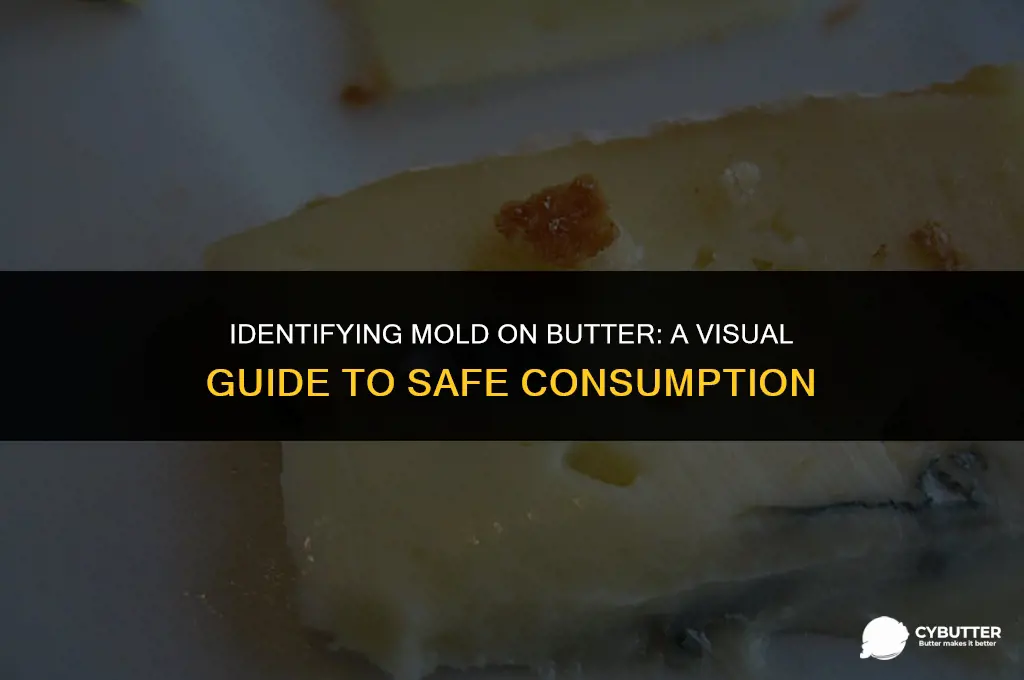 what does mold on butter look like
