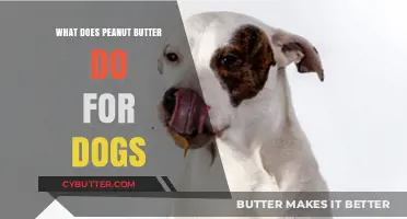 The Surprising Benefits of Peanut Butter for Dogs