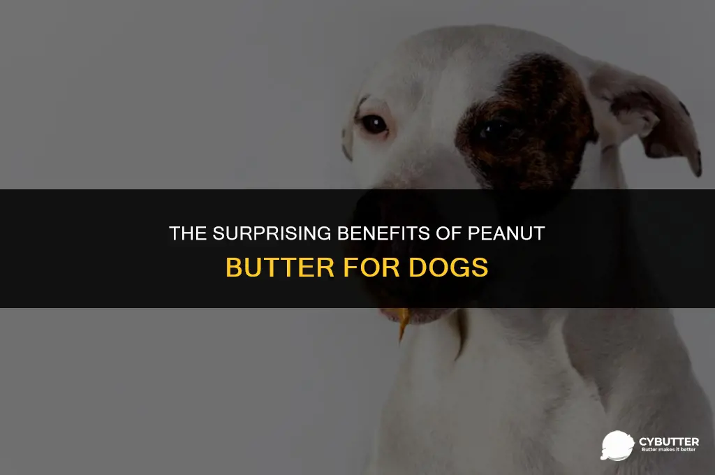 what does peanut butter do for dogs