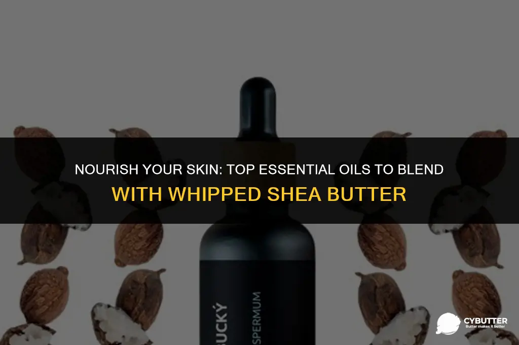 what essential oils are good in whipped shea butter